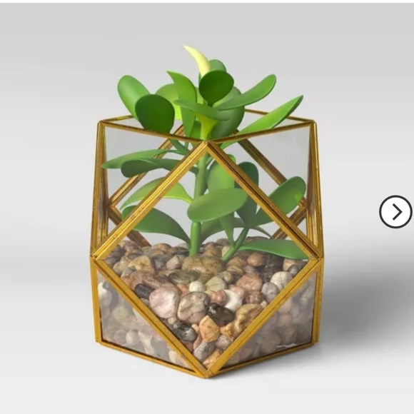 Set o f 2) 5" x 4" Artificial Succulent Plant with Brass Terrarium - Opalhouse - Picture 5 of 7